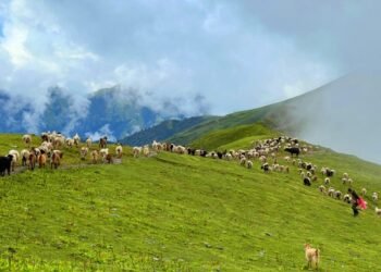 पदयात्रका लागि उत्कृष्ट गन्तव्य बन्दै ‘बुकीपाटन’