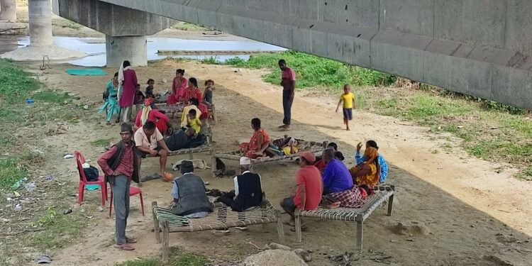 दुई दशकदेखि राजमार्गको पुलमुनि बास