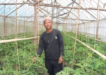 गाउँ फर्किएर कृषिबाट आत्मनिर्भर