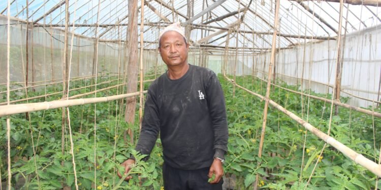 गाउँ फर्किएर कृषिबाट आत्मनिर्भर