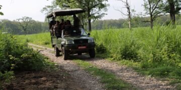 चितवन निकुञ्ज घुम्ने पर्यटक घटे