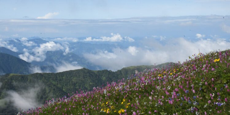 रङ्गीचङ्गी चौँरीखर्क (फोटोफिचर)