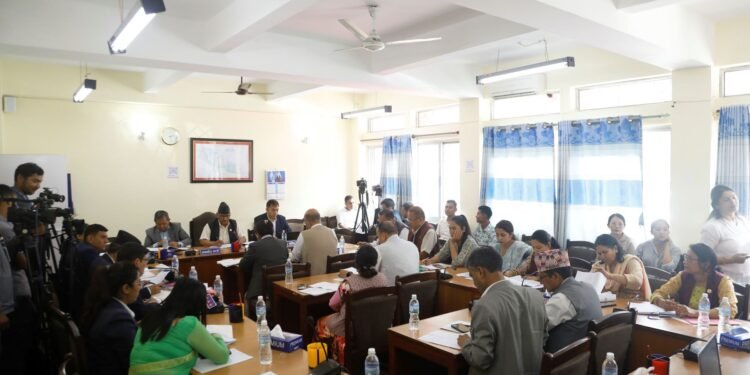 ‘काउन्सिललाई राजनीतिक हस्तक्षेप मुक्त बनाउनुपर्छ’