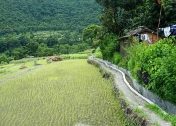 बाउन्न हेक्टरमा सिँचाइ सुविधा विस्तार