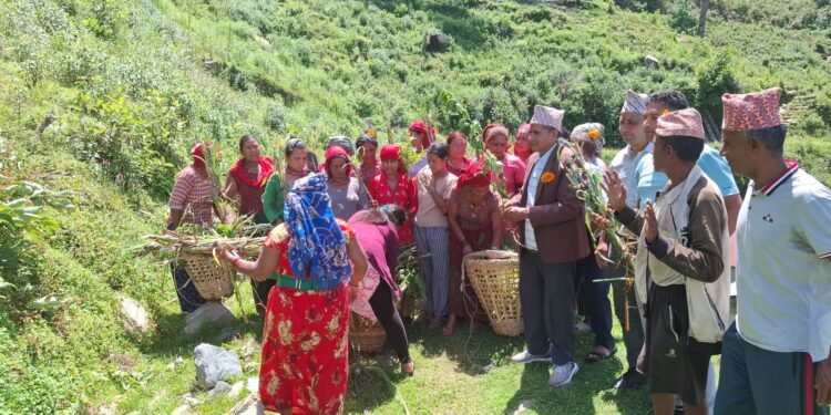 झाडी फाँडेर घाँस खेती, घरघरमा बाख्रापालन