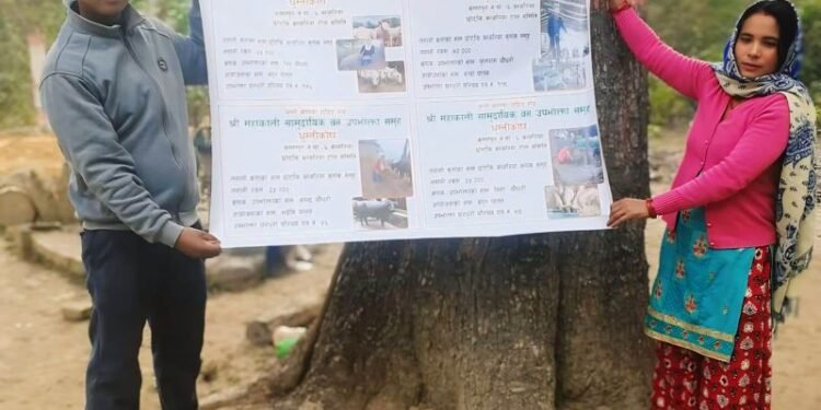 महाकाली सामुदायिक वनको घुम्ती कोषले गरिबी घटाउँदै, रोजगारी बढाउँदै