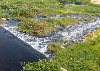 सिर्सिया नदीमा औद्योगिक फोहर मिसाउनेलाई स्थानीय प्रशासनले कारबाहीको दायरामा ल्याउने
