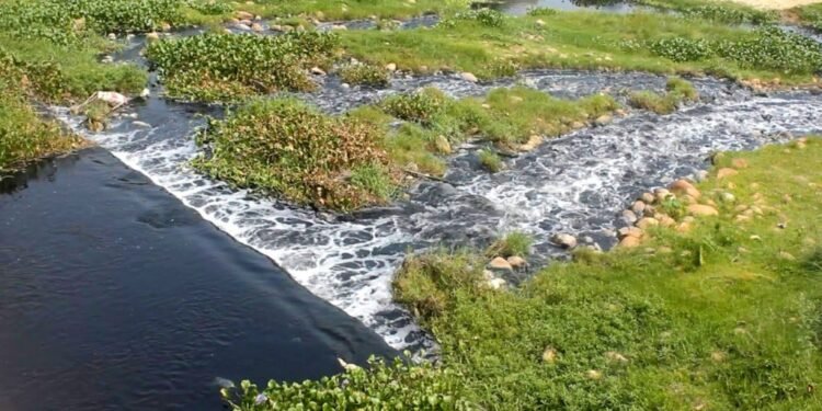 सिर्सिया नदीमा औद्योगिक फोहर मिसाउनेलाई स्थानीय प्रशासनले कारबाहीको दायरामा ल्याउने