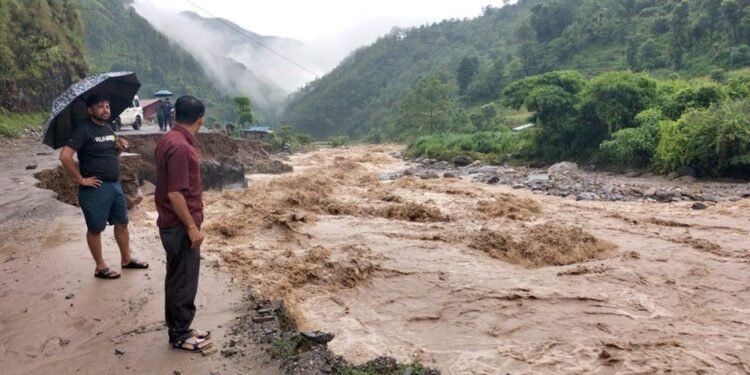 जैमिनी बाढी : तीन सय रोपनी खेत बन्यो बगर
