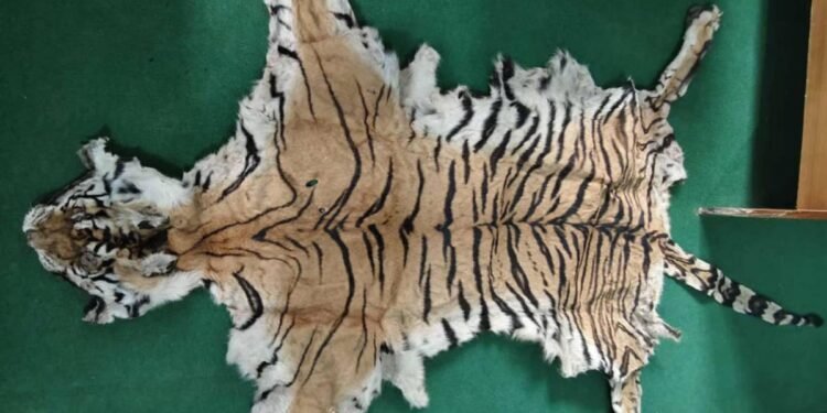 बाघको छालासहित तीन जना पक्राउ