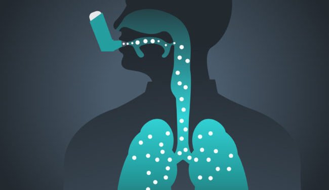 दमका रोगीले ध्यानदिनुपर्ने कुरा