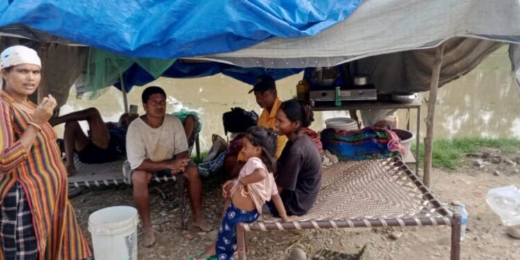 बाढीको त्रास : लठ्ठागौरीका बासिन्दा त्रिपाल टाँगेर बस्न बाध्य