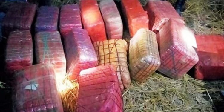 करिब ३ हजार १ सय ५० किलो गाँजा बरामद