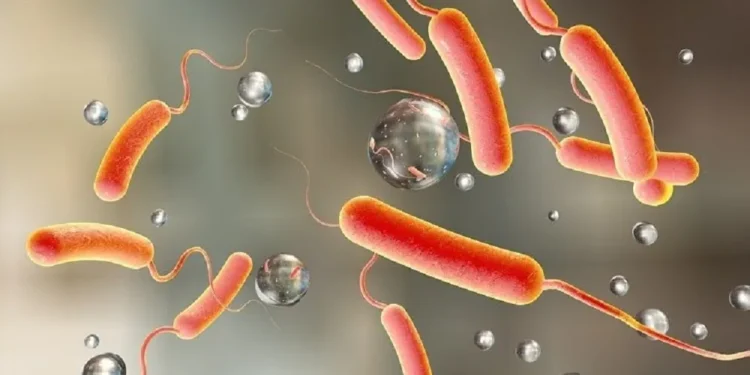 हैजा रोग नियन्त्रणका लागि काठमाडौँका ३२ वटै वडामा जनचेतनामूलक कार्यक्रम