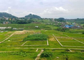 शहरीकरणले १० वर्षमा घट्यो १६.६ प्रतिशत खेतीयोग्य जमिन