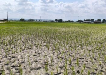 सुक्खाग्रस्त क्षेत्रमा राहत दिन आठ बुँदे निर्णय