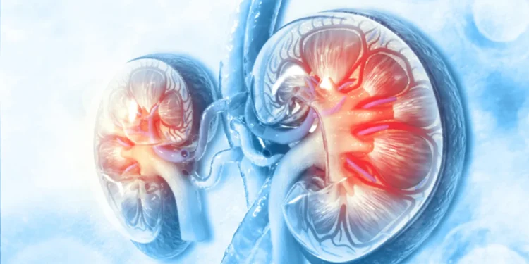 सुत्नुअघि वा सुत्दा यी लक्षण देखिए मिर्गौलाको क्यान्सर हुन सक्छ, तुरुन्तै डाक्टरसँग सम्पर्क गर्नुहोस्