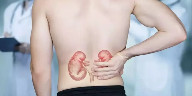 मिर्गौला ठीकसँग काम गरिरहेको छ कि छैन भन्ने कसरी थाहा पाउने?