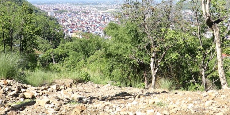 बुटवलवासीलाई पिरोलिरहने ज्योतीनगरको पहिरो