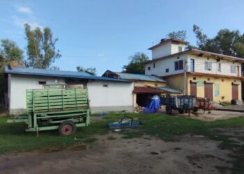 सय हेक्टरमा धानको बीउ उत्पादन गर्दै मुनुवा बिजवृद्धि सहकारी