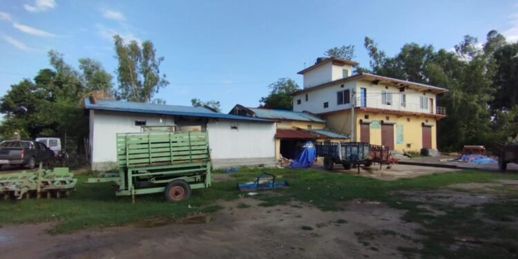 सय हेक्टरमा धानको बीउ उत्पादन गर्दै मुनुवा बिजवृद्धि सहकारी