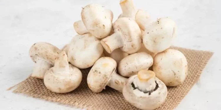 स्वास्थ्यका लागि च्याउ : वैज्ञानिकहरूले पुष्टि गरेका ८ प्रमुख फाइदा