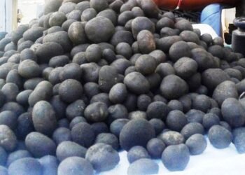 थारु समुदायको भान्सामा हराउँदै ‘फुटकी च्याउ’ को स्वाद