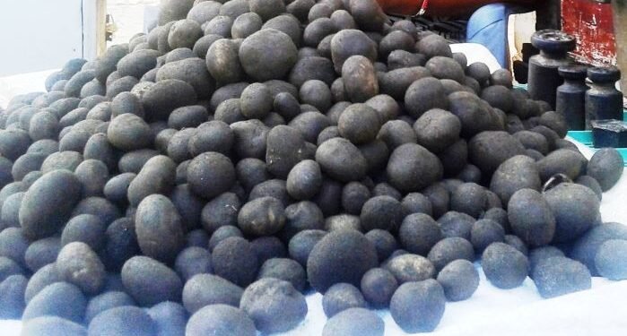 थारु समुदायको भान्सामा हराउँदै ‘फुटकी च्याउ’ को स्वाद