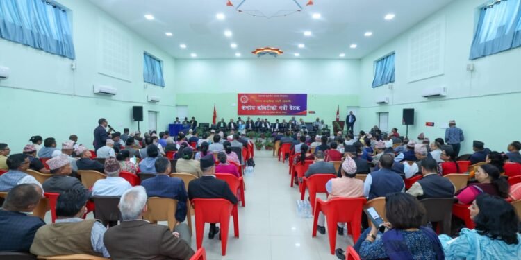 केन्द्रिय समिति बैठक पछि एमालेले घोषणा पत्र जारी गर्ने