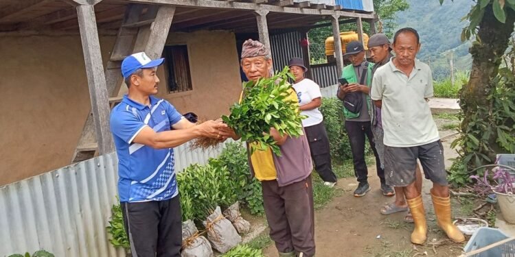 खावाको कृषि पकेट क्षेत्रमा सुन्तलाको विरुवा वितरण