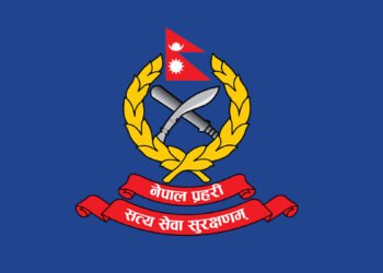 प्रहरी विधेयक अलपत्र, ऐन पारित अन्योलमा