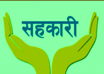 धान, गहुँ र तोरीको बीउ उत्पादनमा किसानलाई सघाउँदै सहकारी