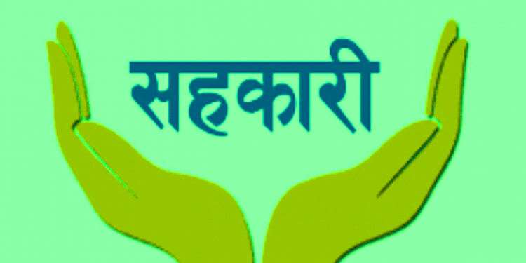 धान, गहुँ र तोरीको बीउ उत्पादनमा किसानलाई सघाउँदै सहकारी