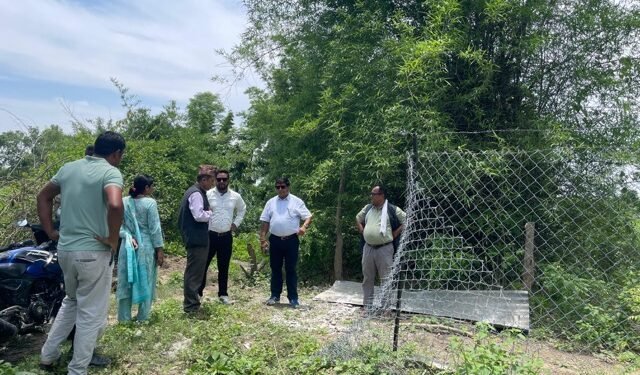 कैलालीमा ‘मेस वायर’ तारजाली निर्माण