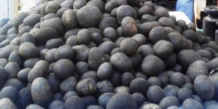 थारु समुदायको भान्सामा हराउँदै ‘फुटकी च्याउ’ को स्वाद