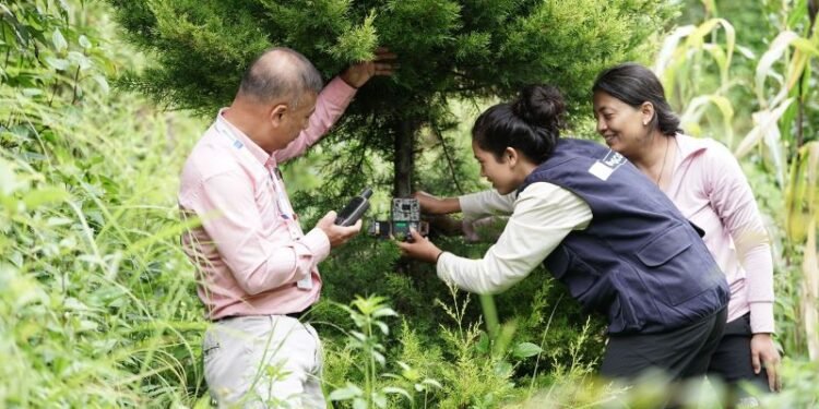 जैविक विविधता अनुगमनका लागि क्यामेरा र जिपिएस उपकरण जडान