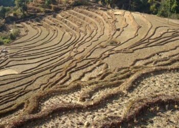 कर्णालीमा जग्गा बाँझो राख्नेलाई जरिवाना