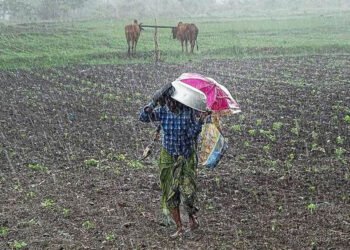 पानी परेपछि पर्साका किसानमा खुशी