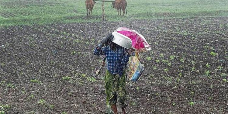 पानी परेपछि पर्साका किसानमा खुशी