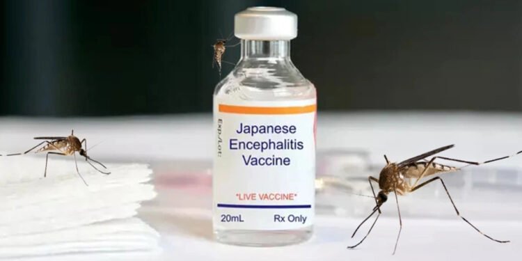 जापानीज इन्सेफ्लाईटिसबाट चितवनमा तीन जनाको मृत्यु