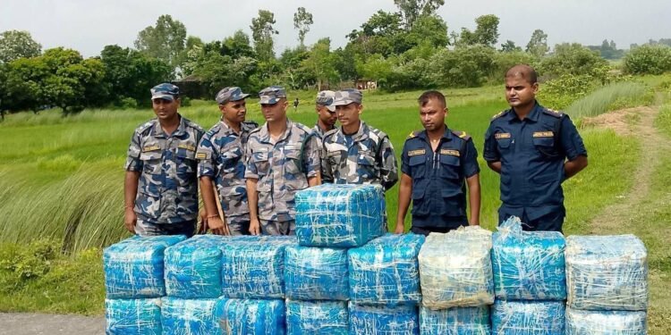 सप्तरीको पातोबाट ३९६ किलो गाँजा बरामद