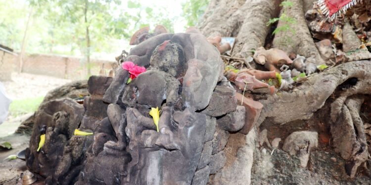 ओझेलमा बुद्धको मावली, मर्चवार नै ऐतिहासिक ‘देवदह’