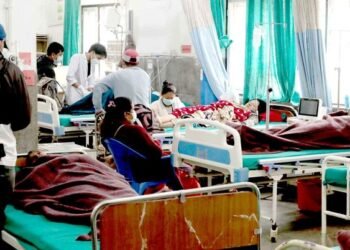 गण्डकीमा आठ सय जनामा डेङ्गु सङ्क्रमण