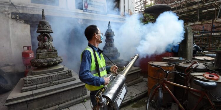 डेंगु नियन्त्रण गर्न काठमाण्डु महानगरले आज ‘वाक एण्ड एक्ट’ कार्यक्रम गर्दै