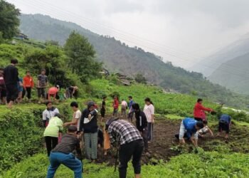 ‘धवलागिरिको इच्छा, गरिखाने शिक्षा’