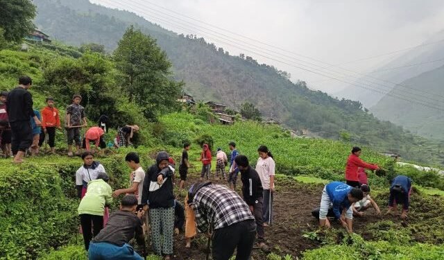 ‘धवलागिरिको इच्छा, गरिखाने शिक्षा’