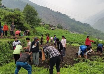 ‘धवलागिरिको इच्छा, गरिखाने शिक्षा’