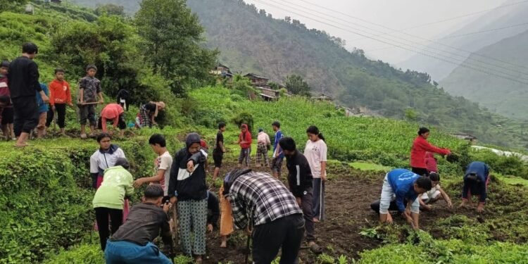 ‘धवलागिरिको इच्छा, गरिखाने शिक्षा’