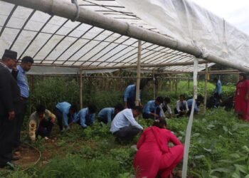 विद्यार्थीलाई अभ्यासमूलक व्यावहारिक शिक्षा दिँदै ‘यशोधरा’