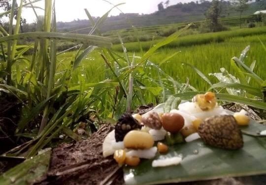 प्राकृतिक देवता मान्दै भ्यागुतालाई भात